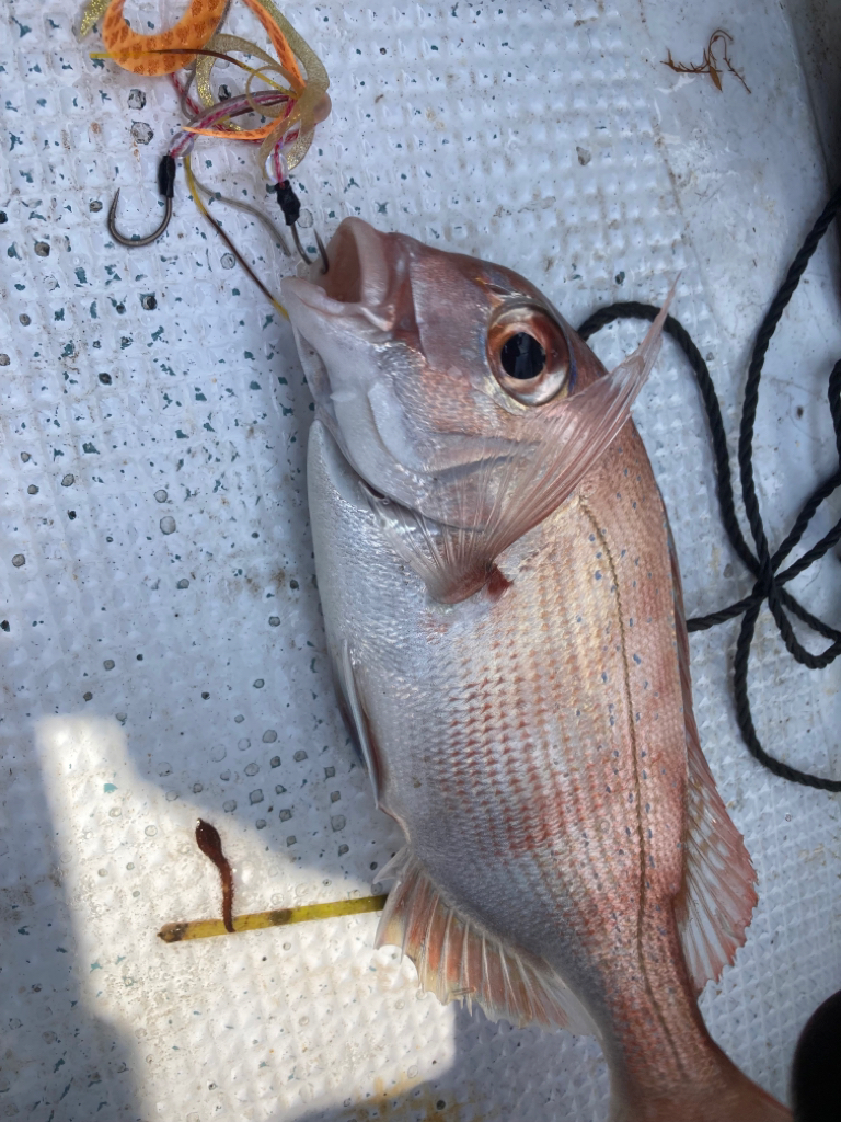 ’22 鯛ラバ 16回目