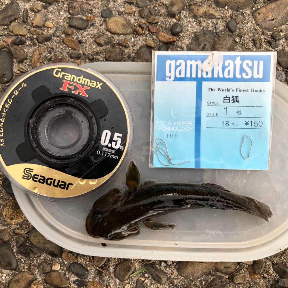 ひと時のハゼ釣り(^ ^)