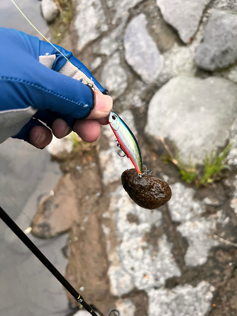 渓流ルアーフィッシング