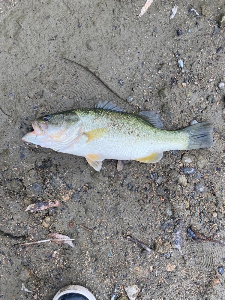 久しぶりの釣行！