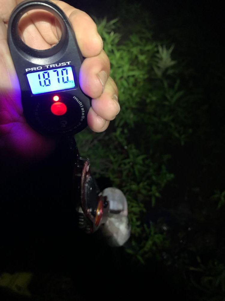 久しぶりのスズキサイズ(^^)