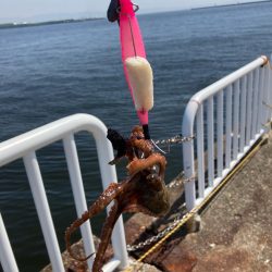 ⭐︎Are you ready?