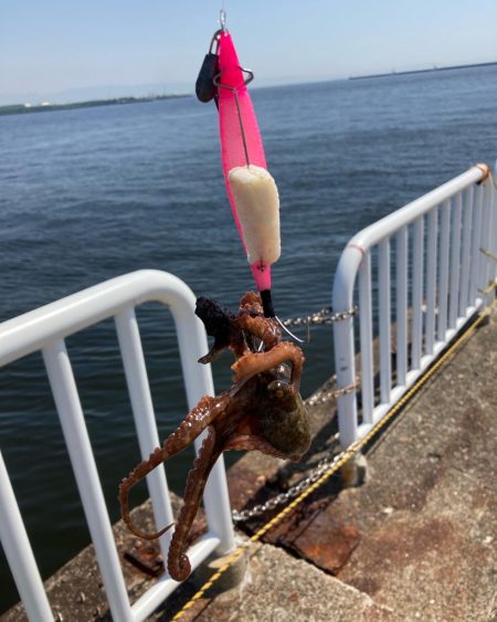 ⭐︎Are you ready?