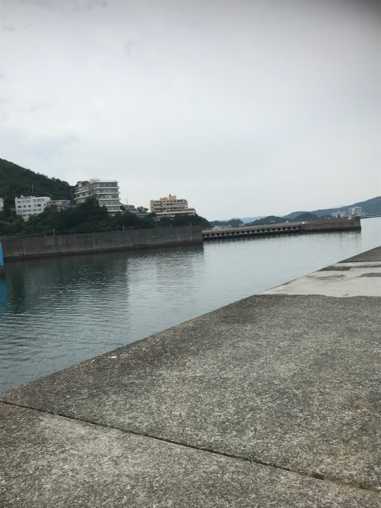 サビキ御三家２