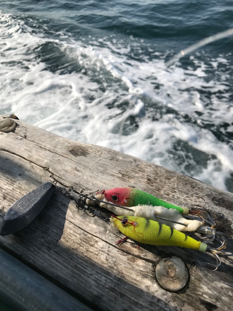 明石タコエギング