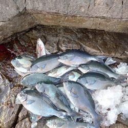 クロ釣り(五島列島)