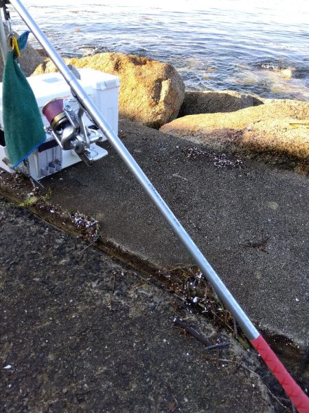 苅屋海岸のキス釣り