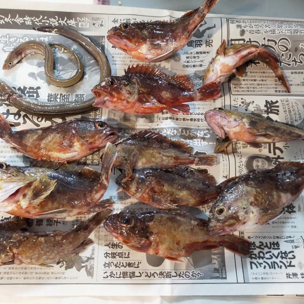 須磨一文字 のんびり半夜釣り