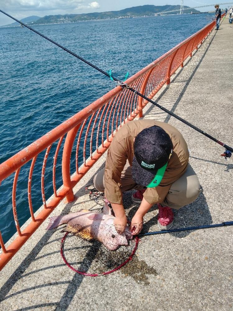 これは雄かな？