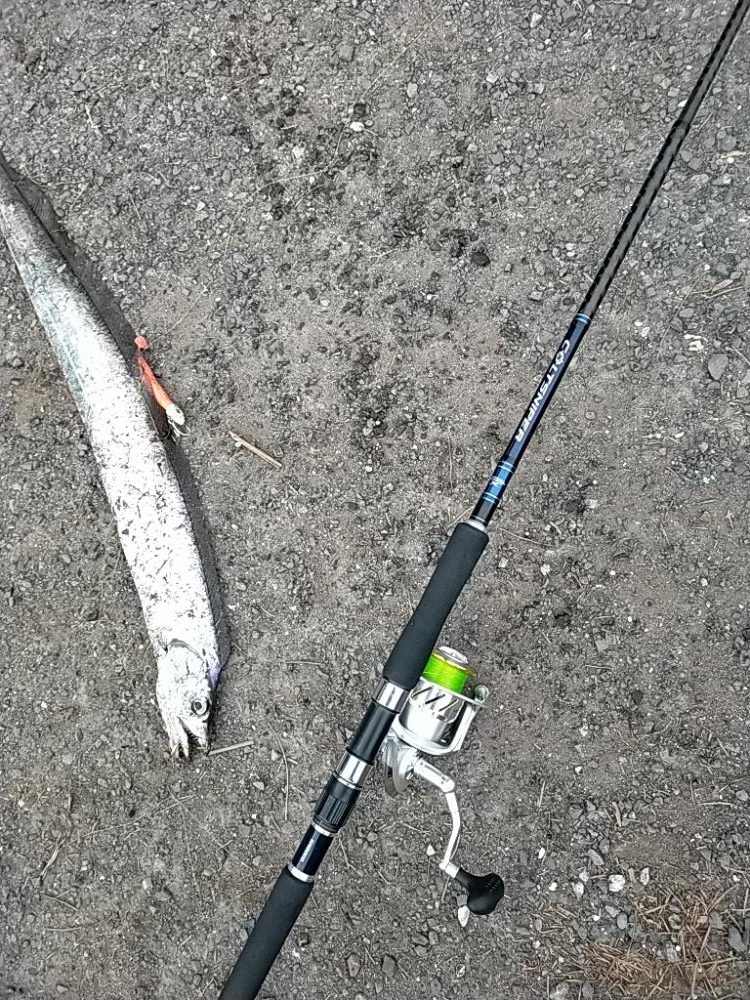 ベイトが接岸してました