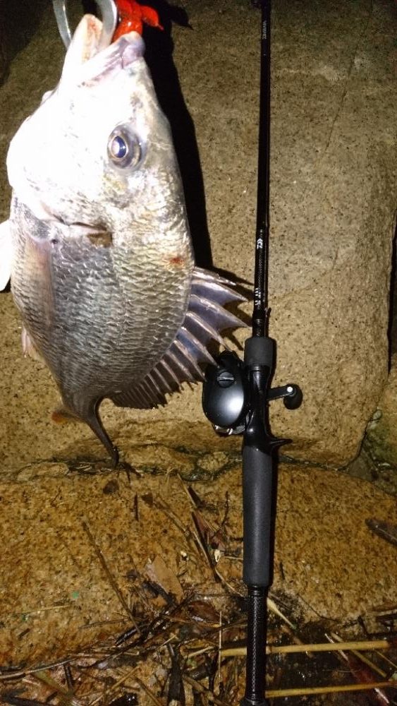 シーバス釣れない。