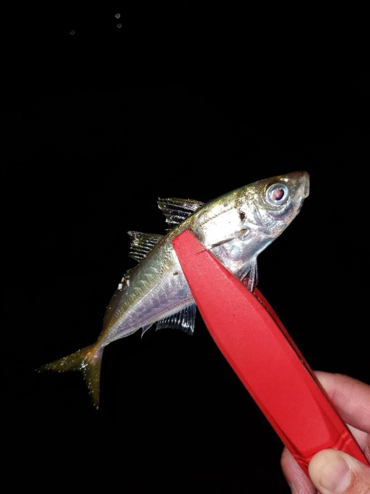 ま、まさかの?!