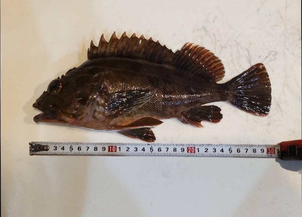 もうちょっとで(>_<)