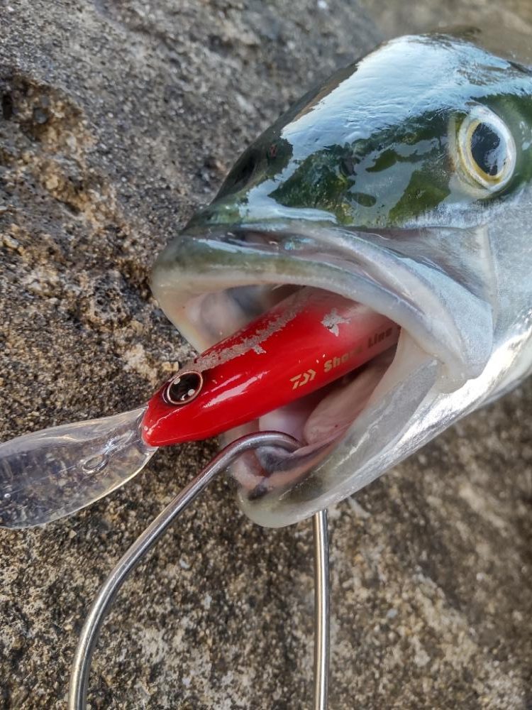 ショアプラッキング