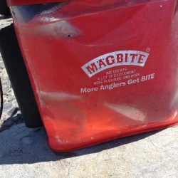 猛暑のキス釣り