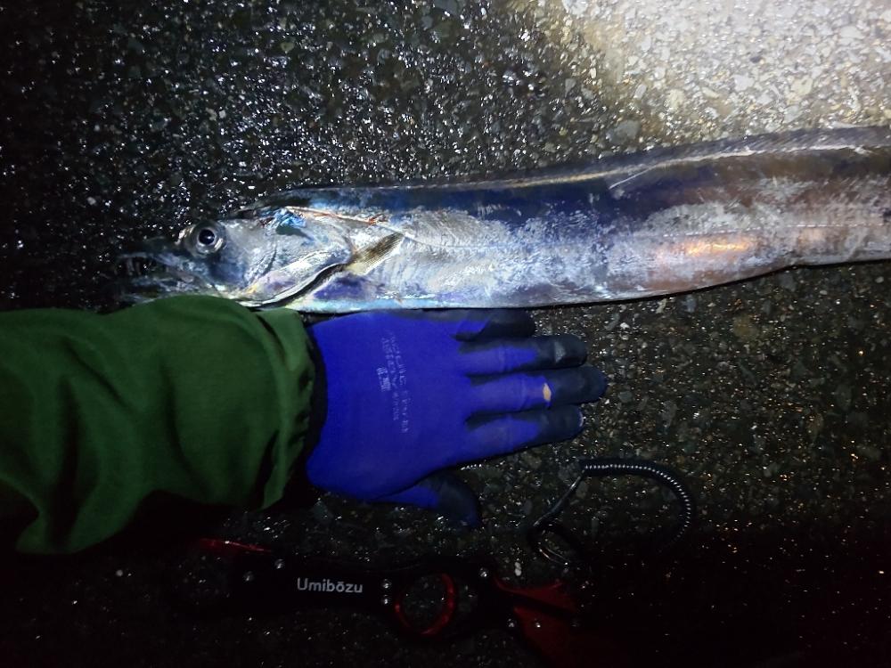 ショアプラッキング