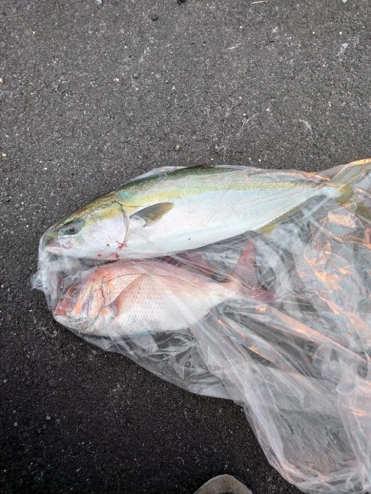 ショアジギとメバリング