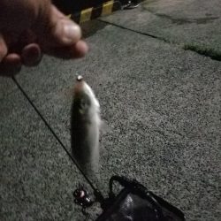 いつもの場所で