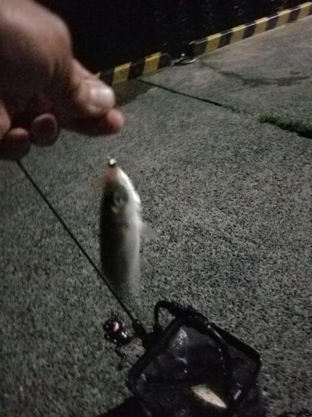 いつもの場所で