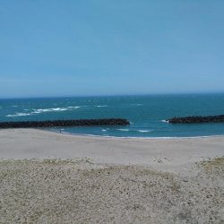 まだまだメガアジ絶好調