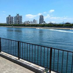 ちょい投げ釣行