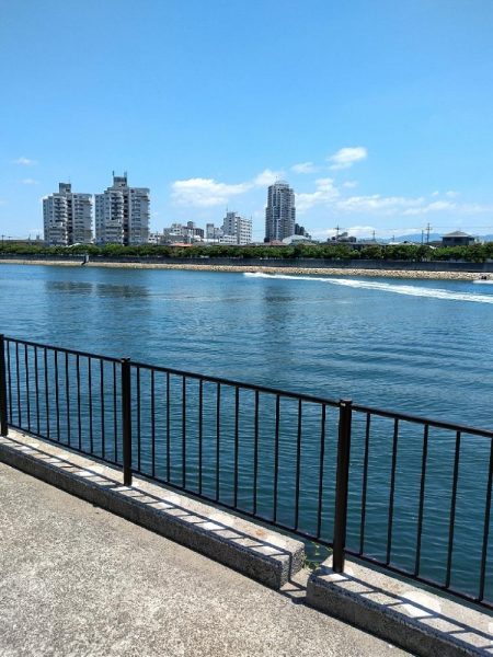 ちょい投げ釣行