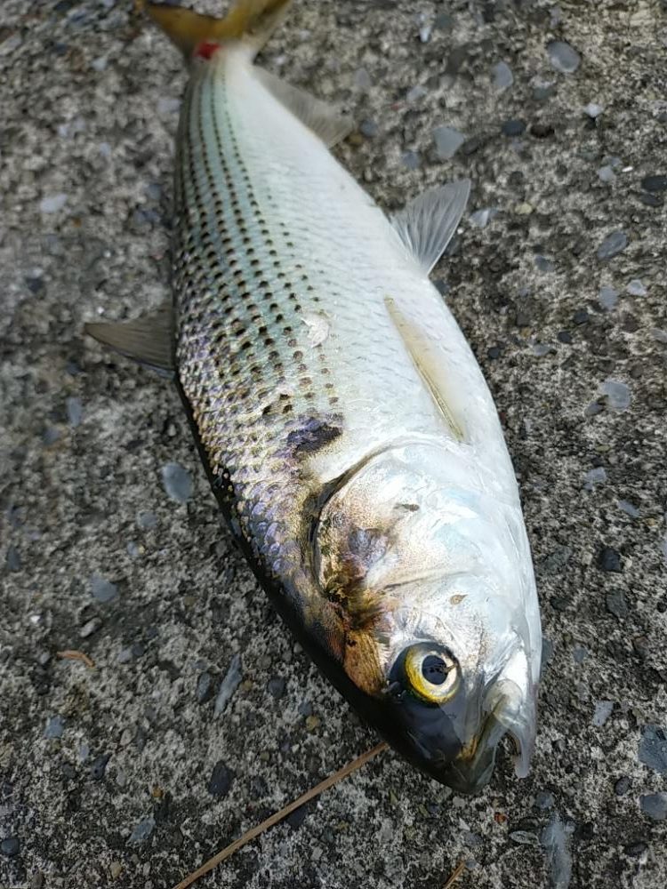 長い一日の終わりに