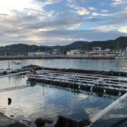 深日漁港DEボトムチョンチョン