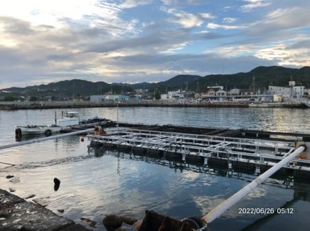 深日漁港DEボトムチョンチョン