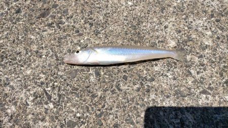 ピンキスしかいないの