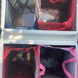 伊勢湾奥タコ釣り