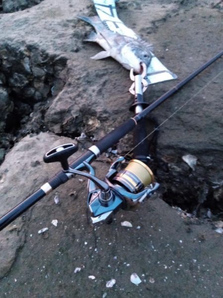 3日目でようやく釣れました