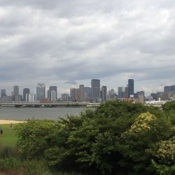 手長エビ in 淀川 (2)