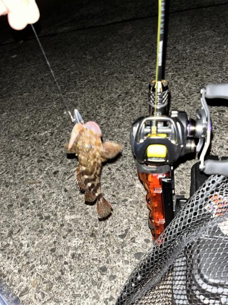 尾鷲のライトゲーム