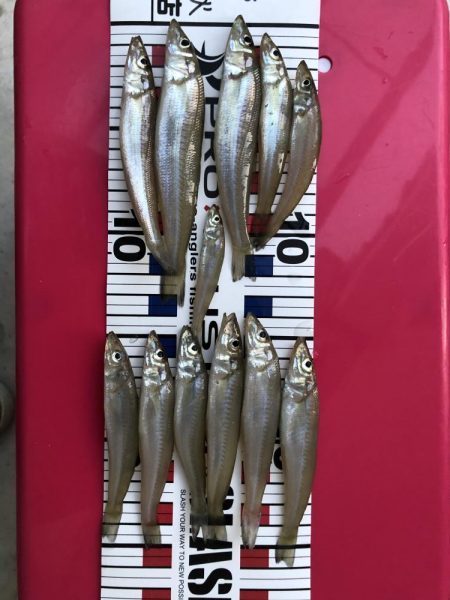 ちょい投げキス！