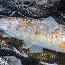 相変わらずの超渇水