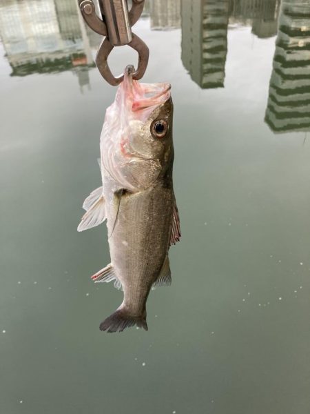 丸々二ヶ月振り