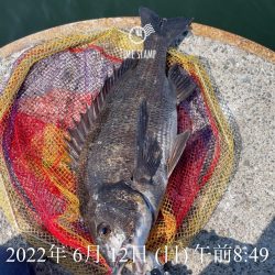 岸和田ヘチ釣り