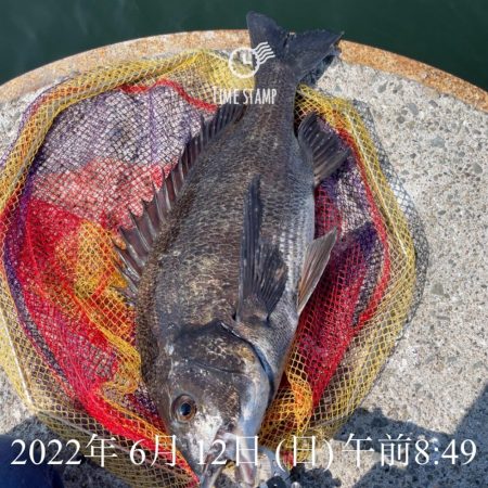 岸和田ヘチ釣り