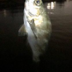 ジグ単メバリング