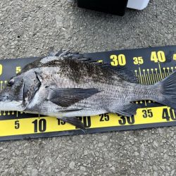 3回目のフカセ釣りでやっと釣れました。