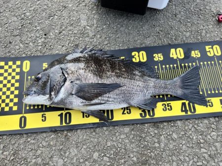 3回目のフカセ釣りでやっと釣れました。