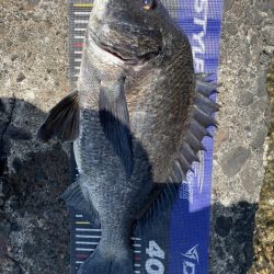 イチノ兄弟、釣果!