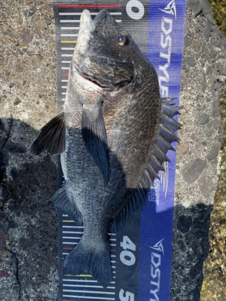 イチノ兄弟、釣果!