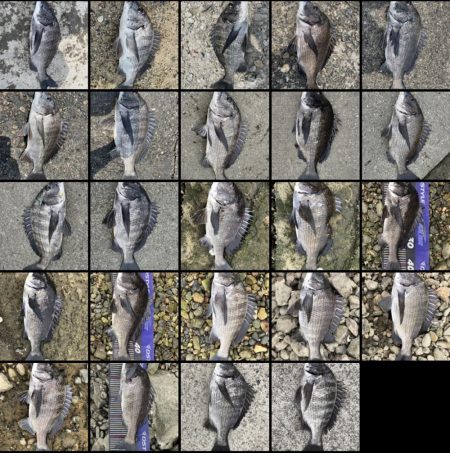 イチノ兄弟、釣果!