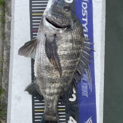 イチノ兄弟、釣果!