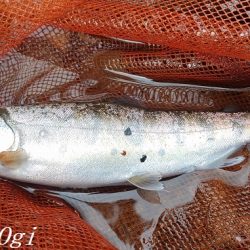 雨で水量は回復した？