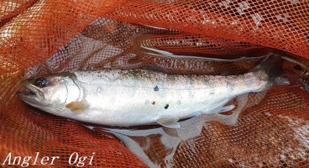 雨で水量は回復した？