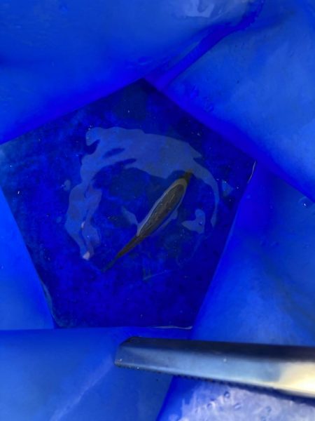 今年最初のサビキ釣り