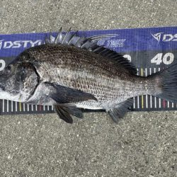 イチノ兄弟、釣果!